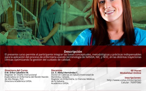 Terminología del proceso de enfermería NANDA NIC NOC (eLearning)