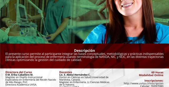 Terminología del proceso de enfermería NANDA NIC NOC (eLearning)