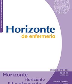 Experiencia de los profesionales de la salud al implementar terapias complementarias en su quehacer profesional.