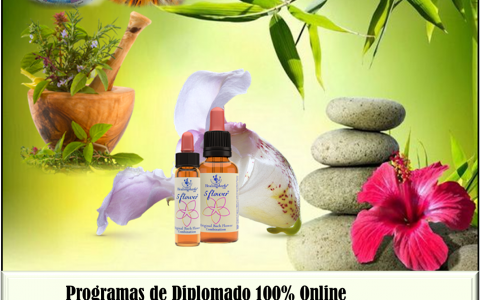 Diplomado en Naturopatía 100% online
