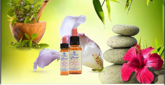 Diplomado en Naturopatía 100% online