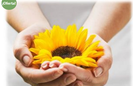 Enfermería Agente de Salud Holística: Una nueva forma de acompañar (online)