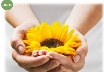 Enfermería Agente de Salud Holística: Una nueva forma de acompañar (online)